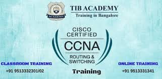 TIB ACADEMY TIB photo 2