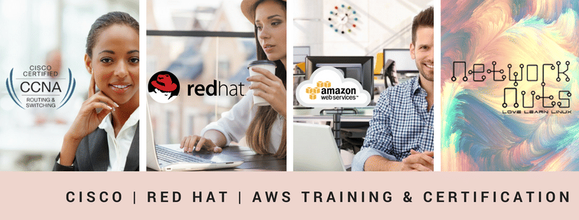 Network Nuts Gallery photo 2