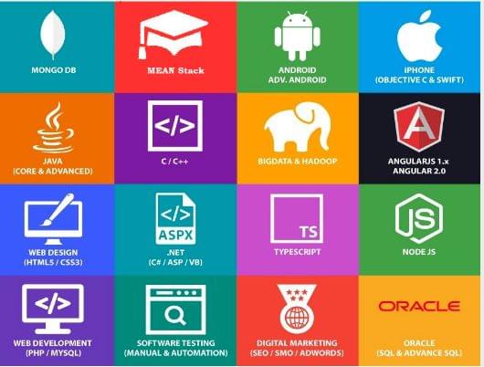 CIIT Training Institute CIIT Training Institute photo 3