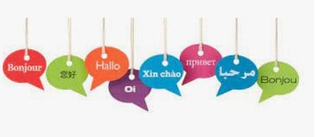 Language Nest Language Nest photo 1