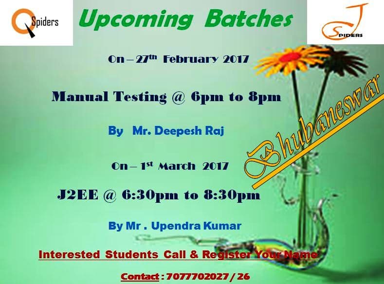 JSpiders JSpiders : Gallery photo 6