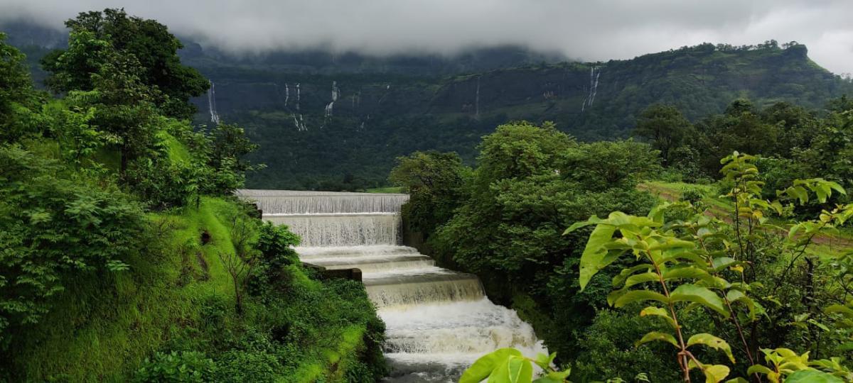 The True School of Music Campus photo 3