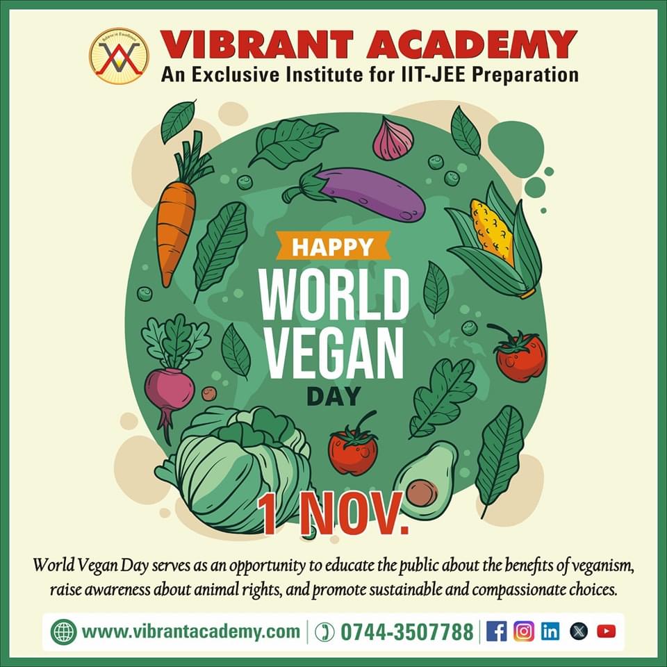 Vibrant Academy Vibrant photo 3