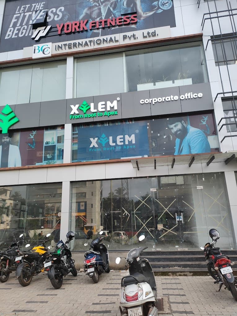 XYLEM LEARNING Xylem Gallery photo 2