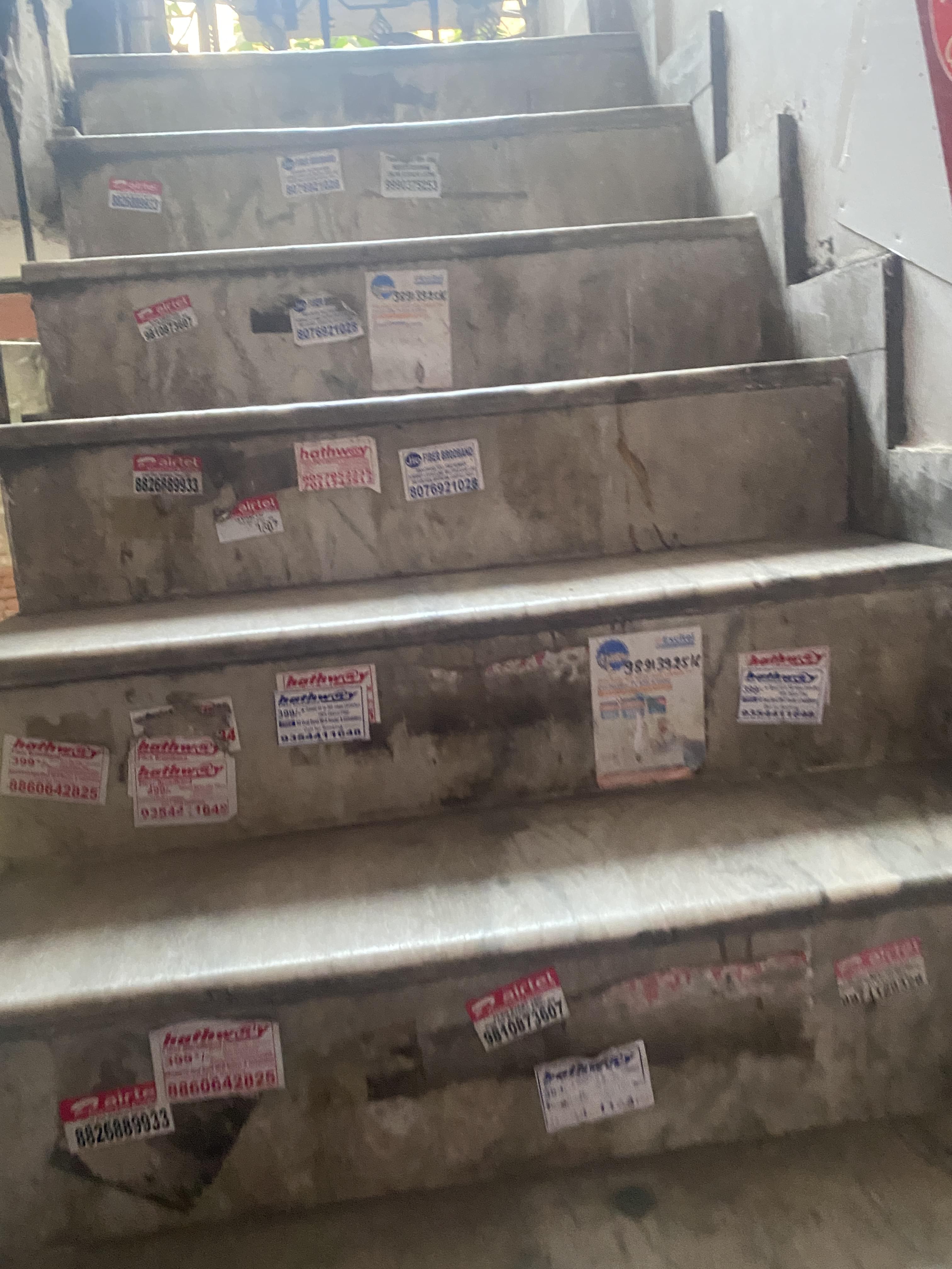 British Express British Express photo 5