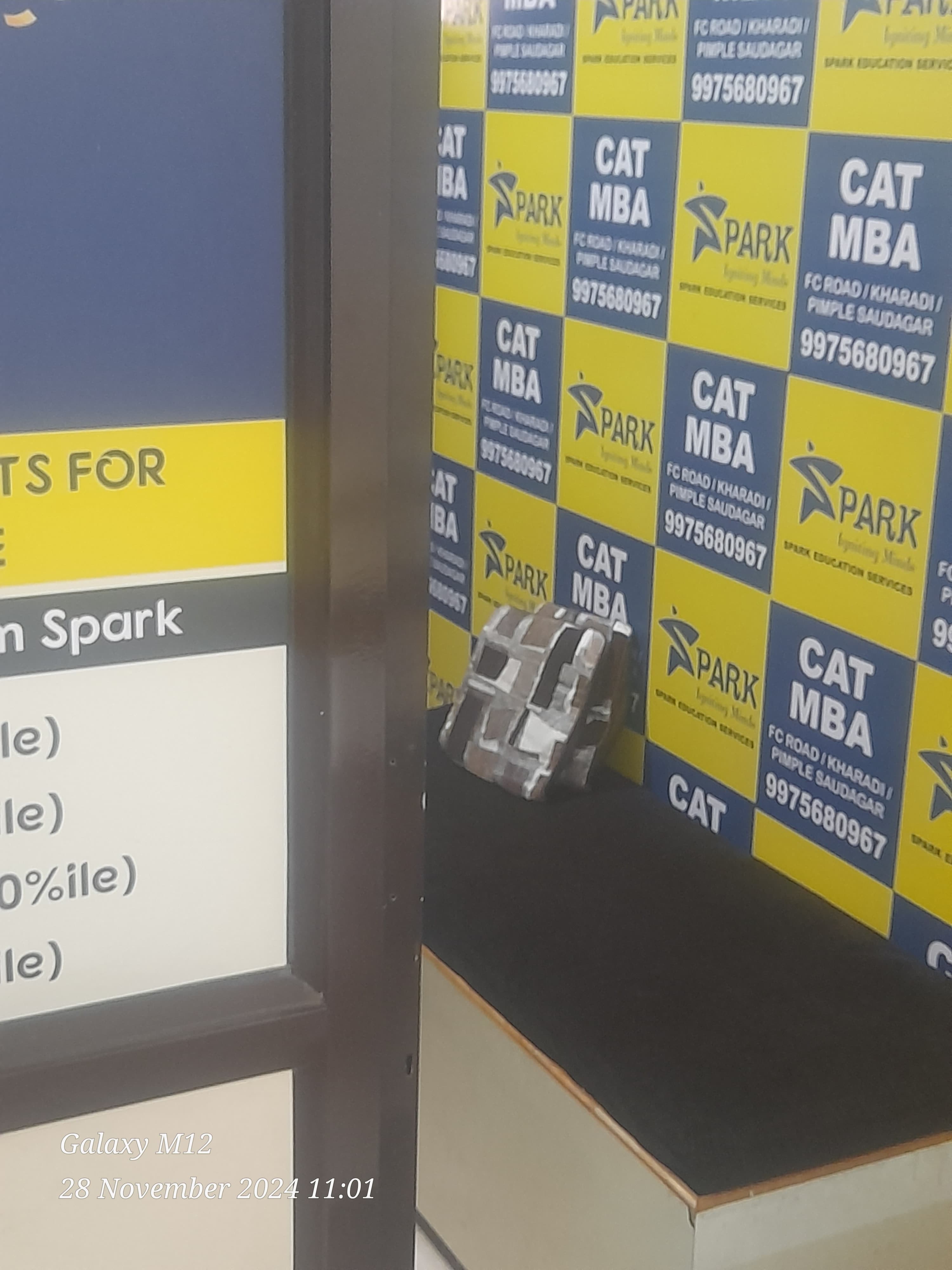 SPARK Education Services Spark Education Service photo 3