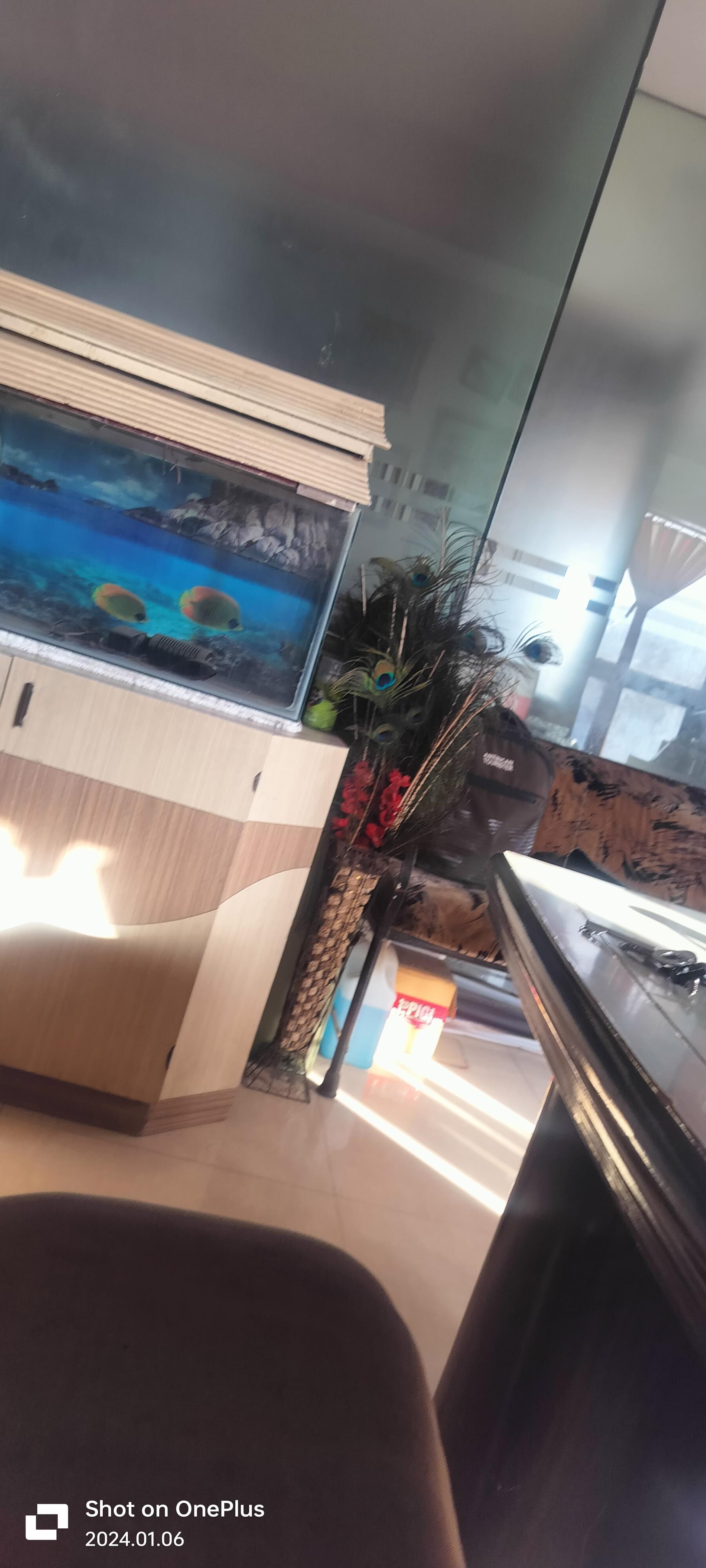 Kabira Institute Of Computer Kabira Institute Of Computer photo 3