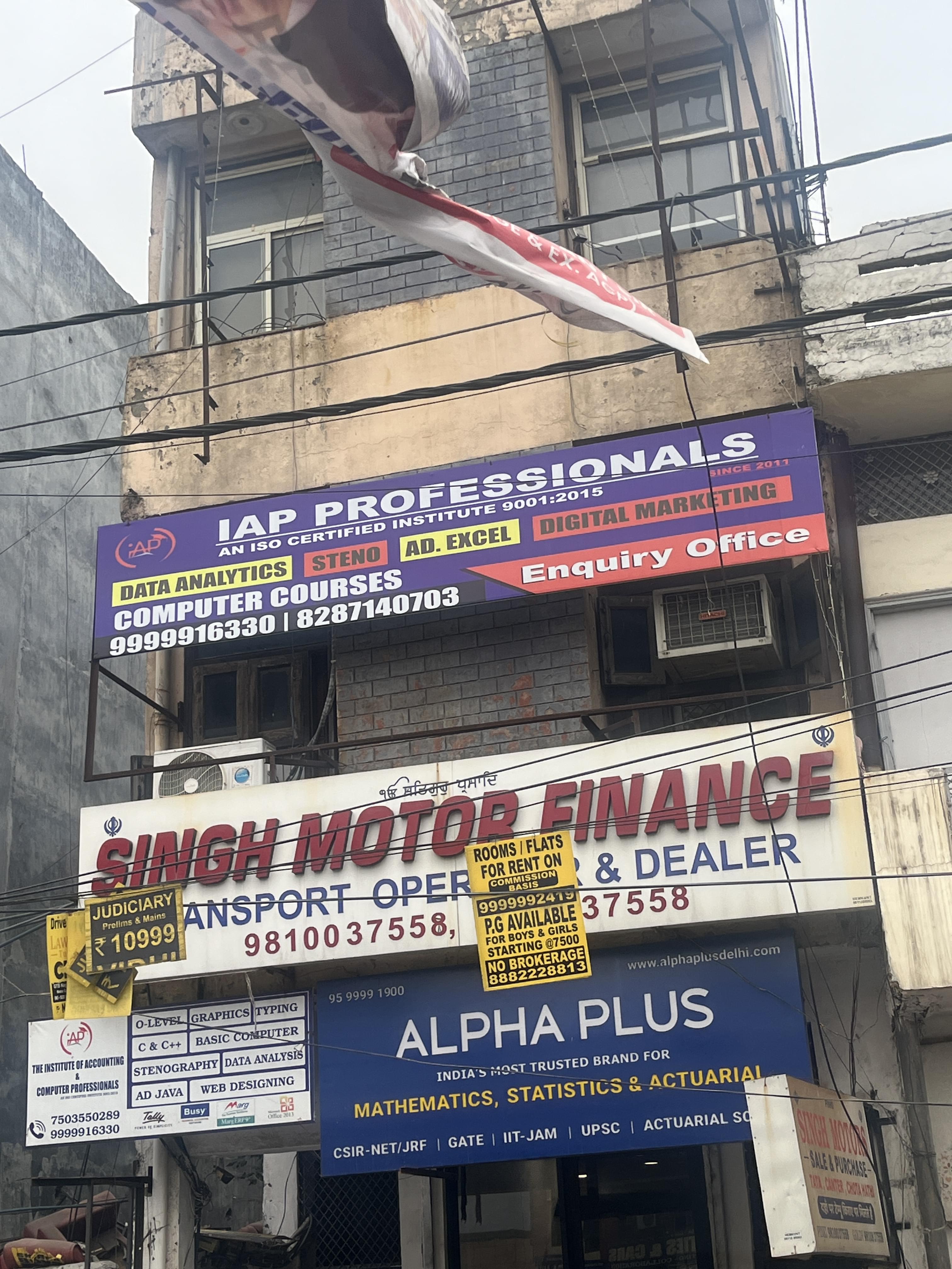 Alpha Plus Alpha Plus photo 3