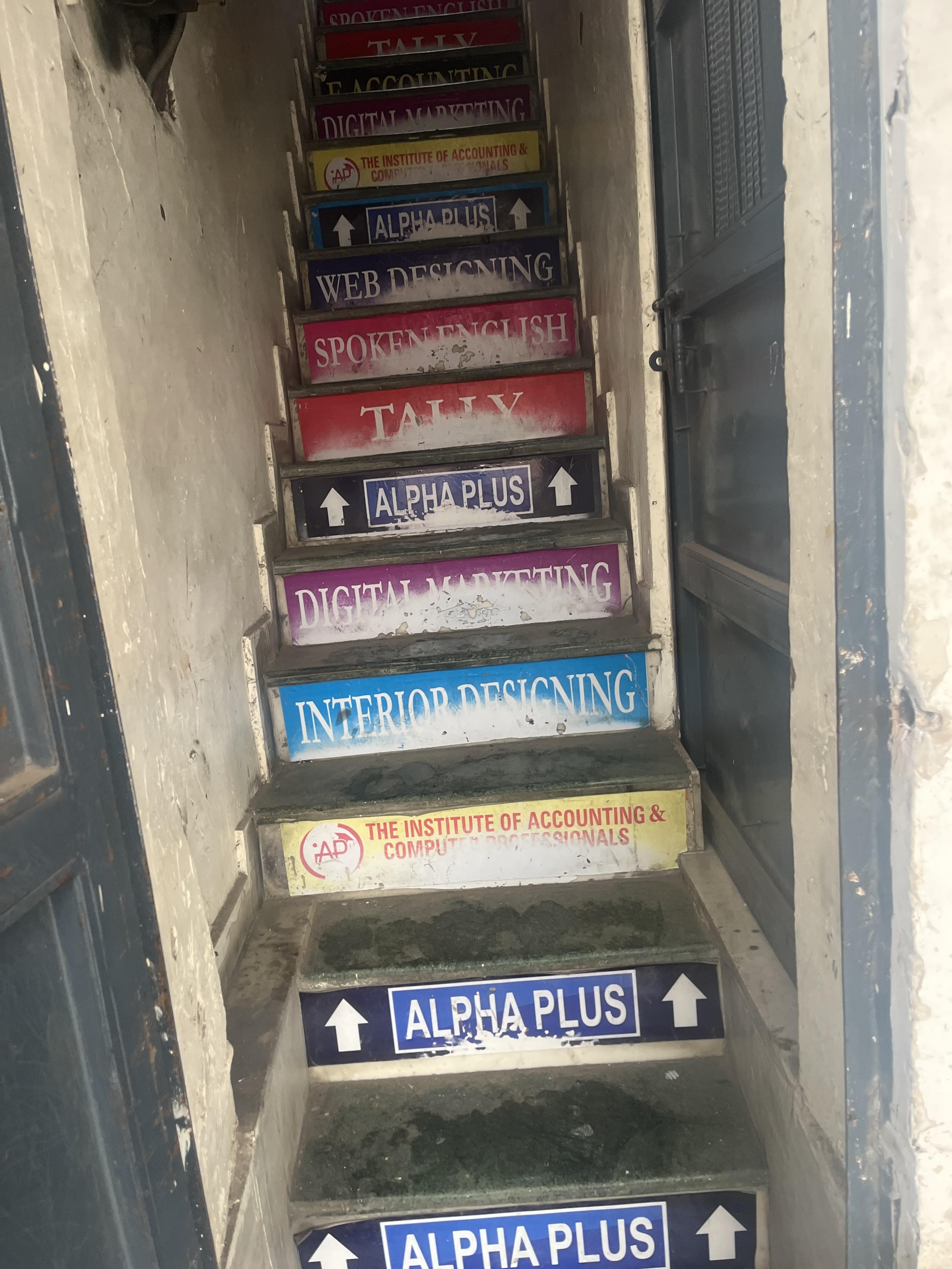 Alpha Plus Alpha Plus photo 5