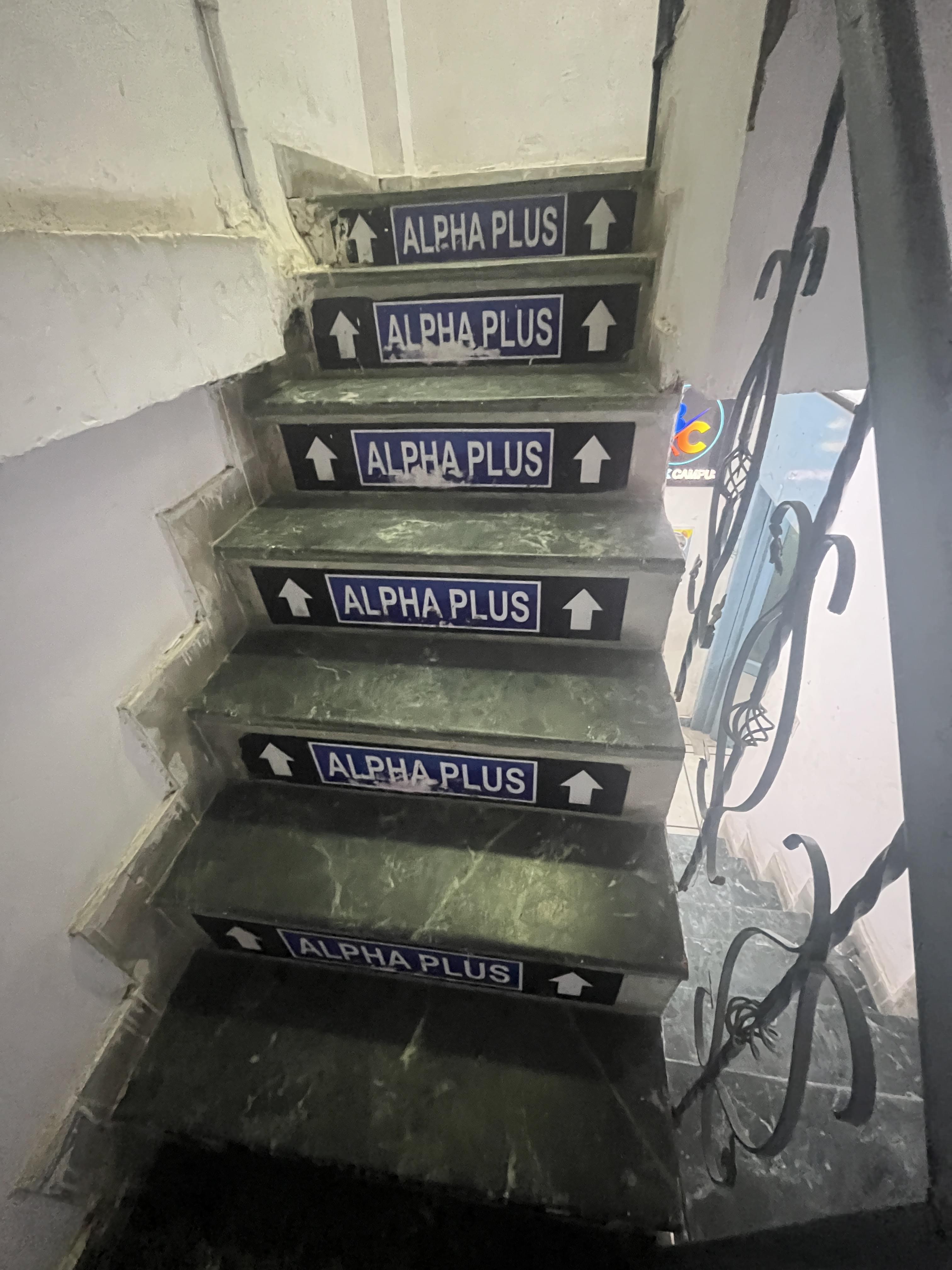 Alpha Plus Alpha Plus photo 6