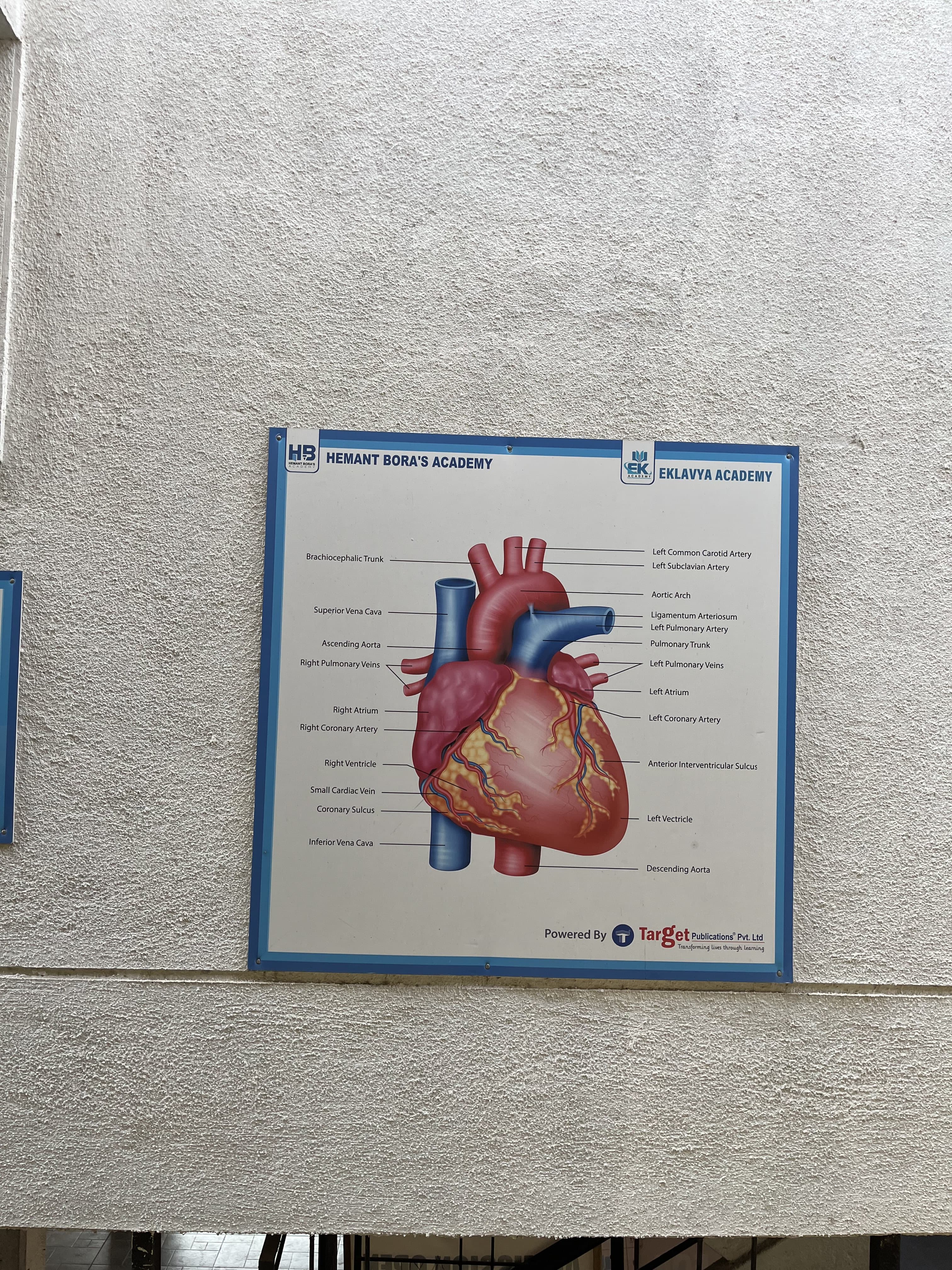 Hemant Bora's Academy Hemant Bora's Academy photo 2