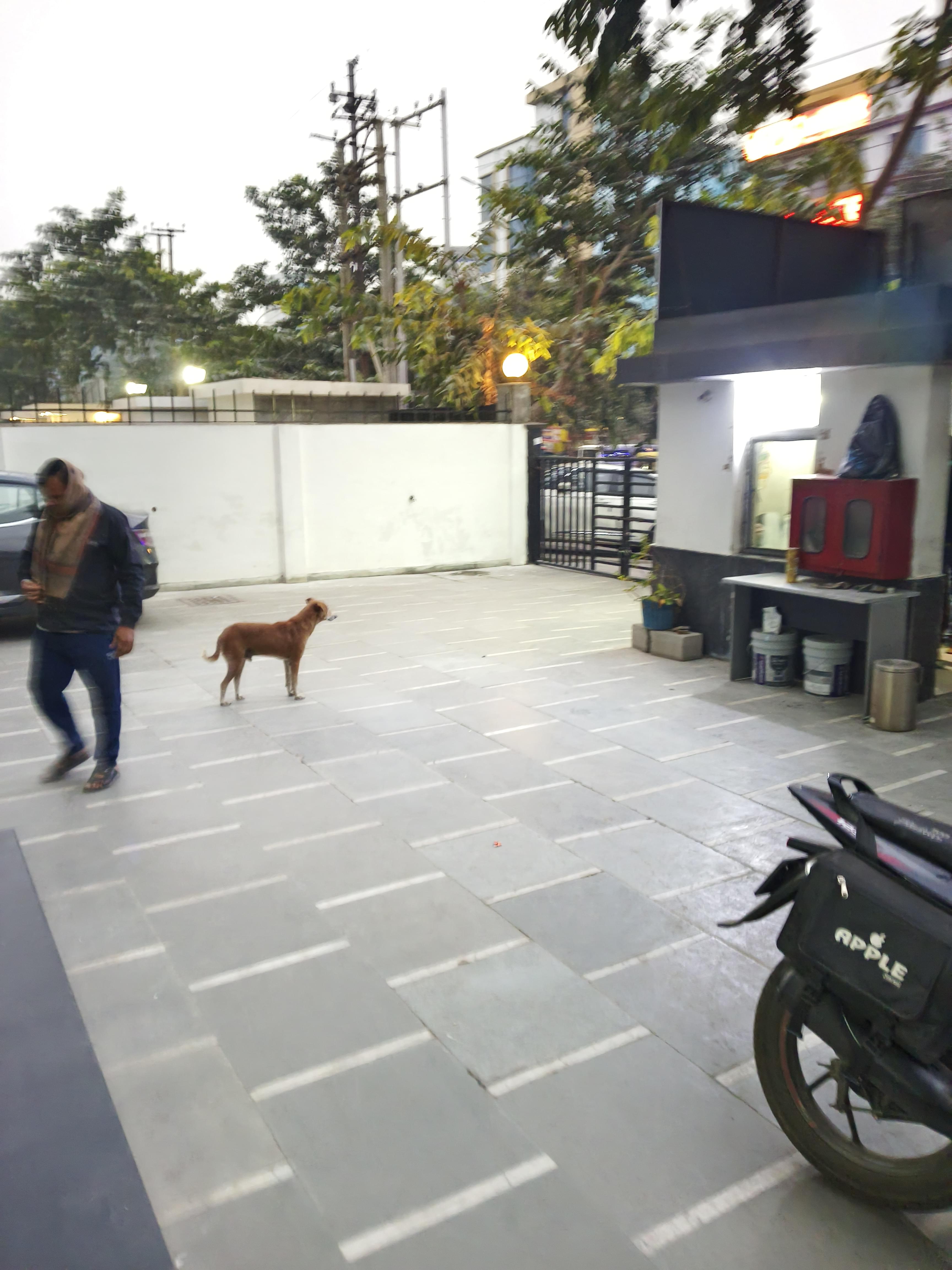 Jamboree Education Jamboree - Frontview photo 2