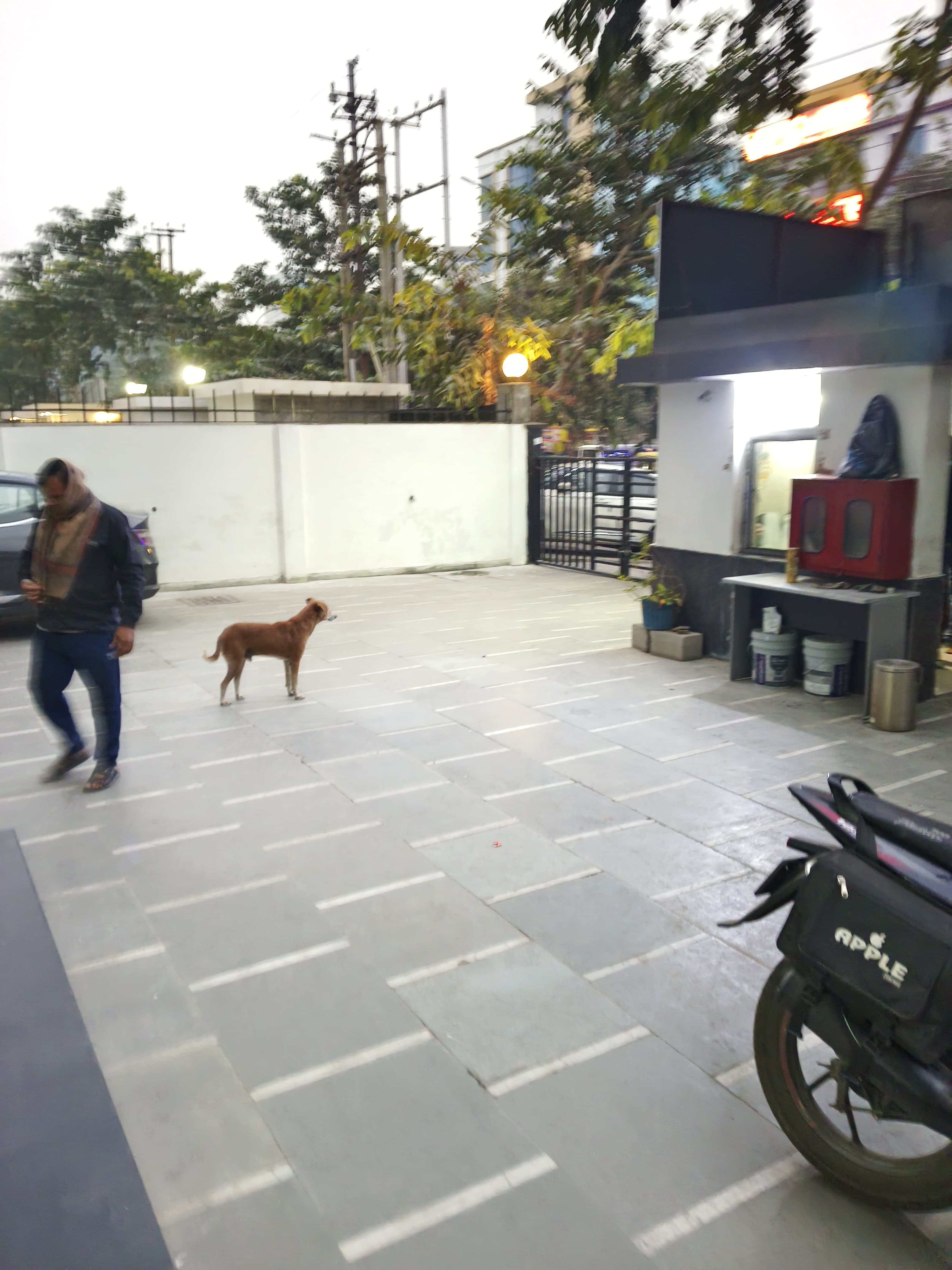 Narayana Sector 62 Noida Narayana - Front View photo 2