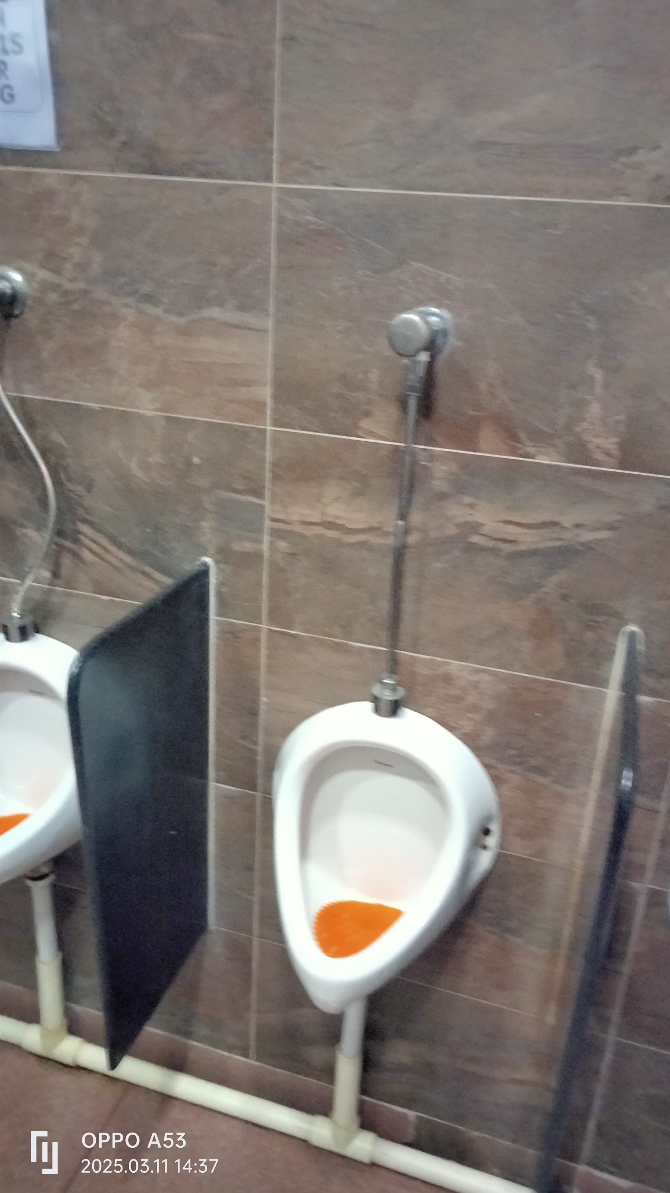 Jamboree Education JAMBOREE EDUCATION Images photo 6