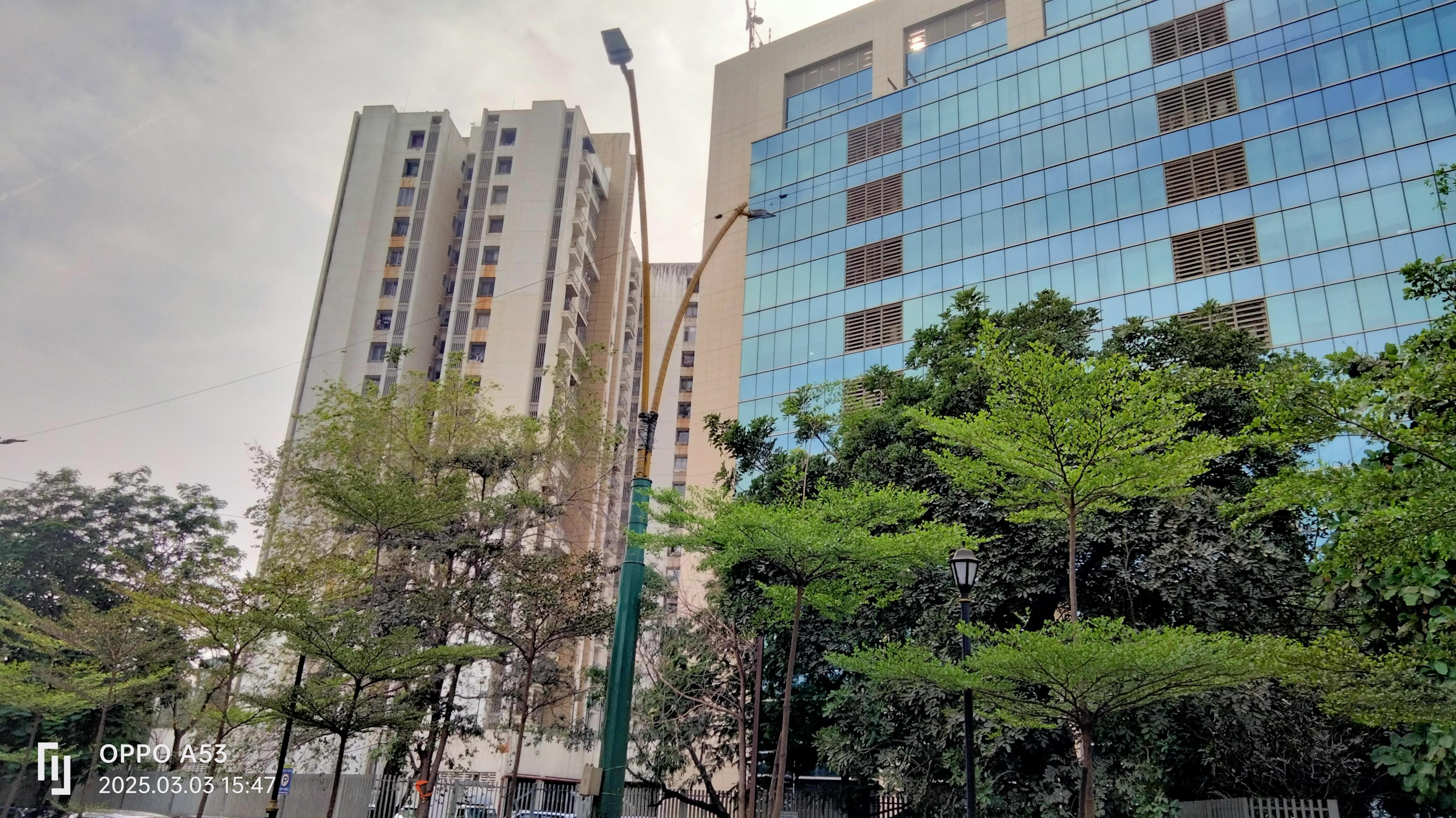 y axis thane Y-Axis Images photo 4