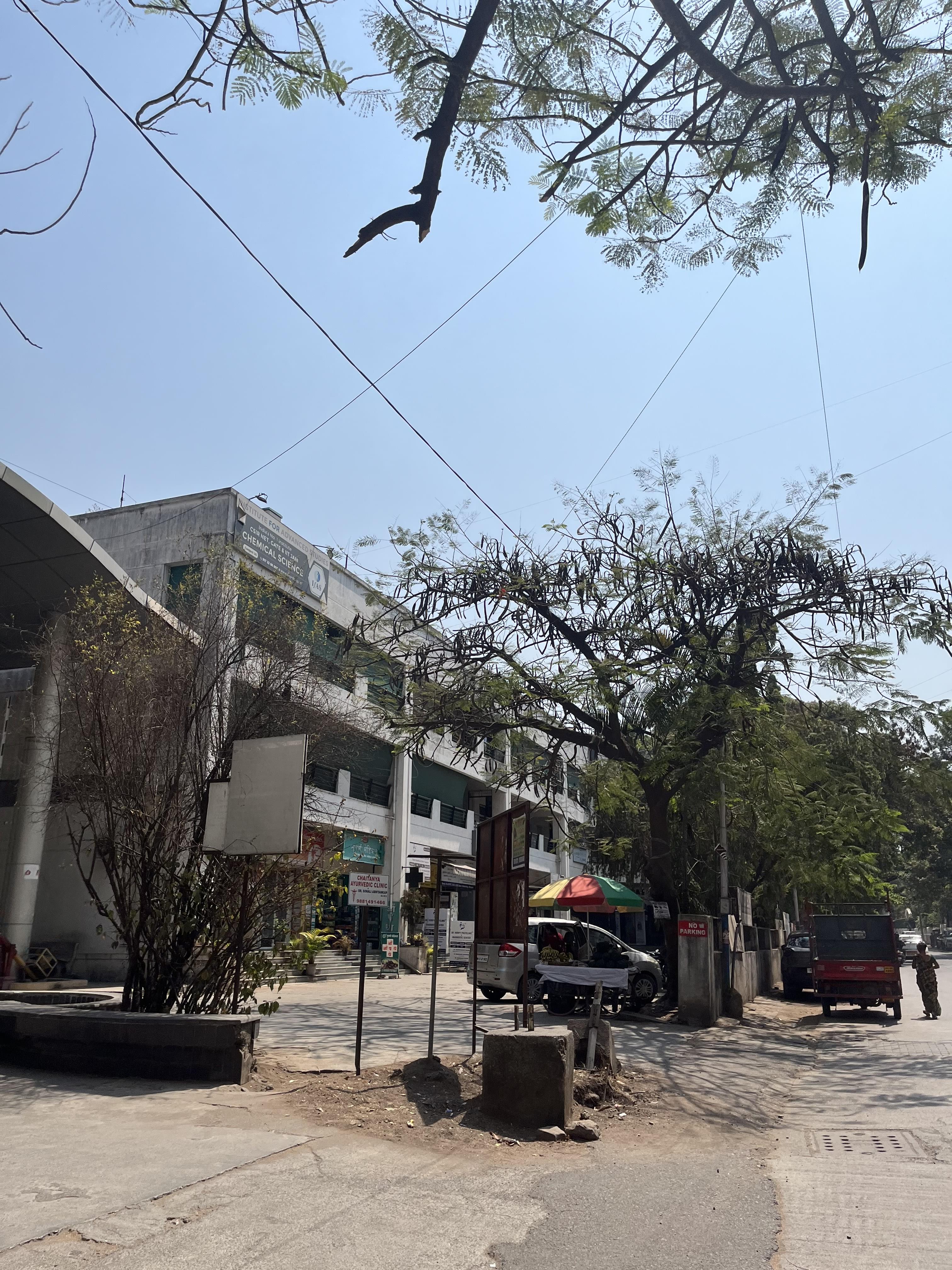 IFAS Institute IFAS photo 5