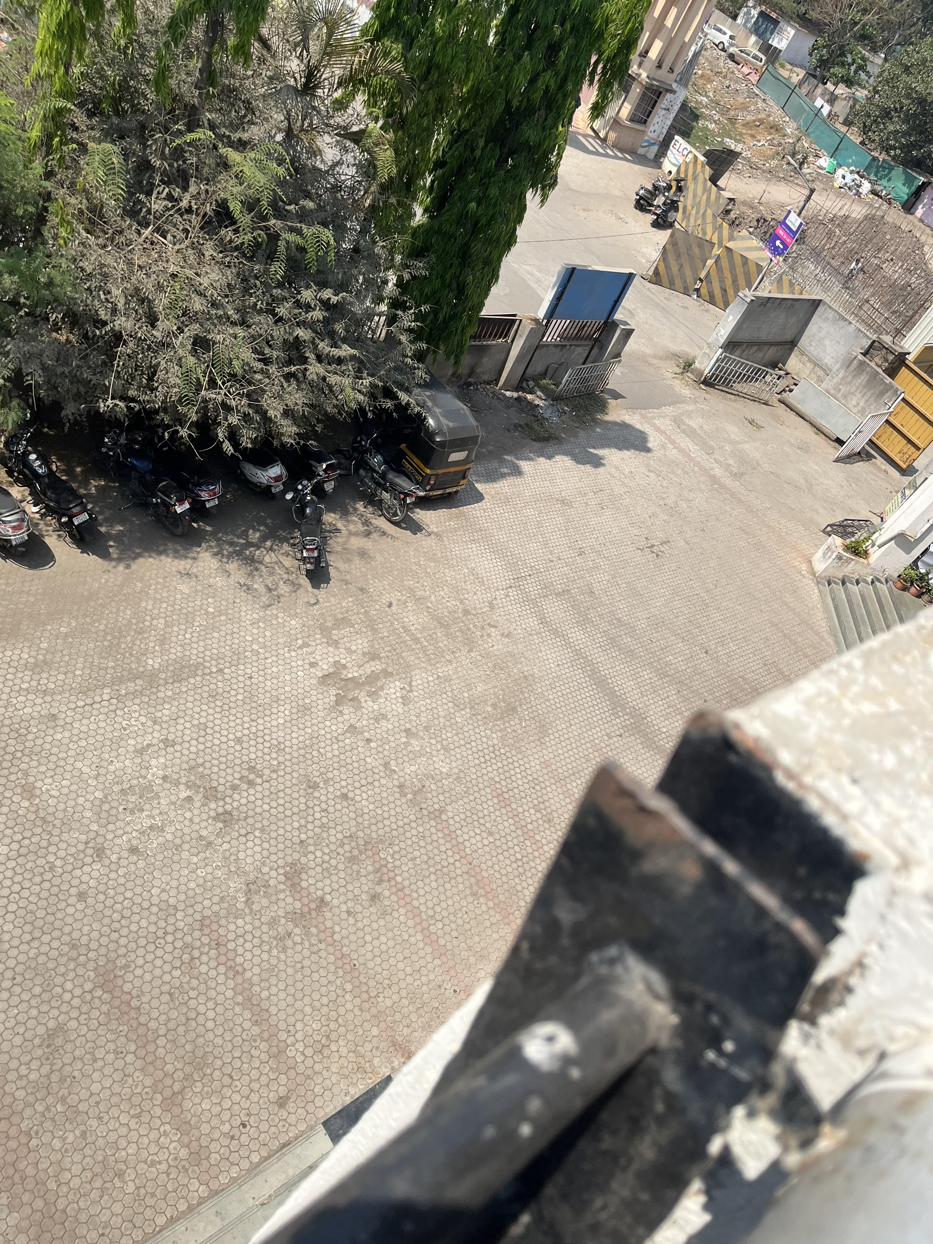 IFAS Institute IFAS photo 7