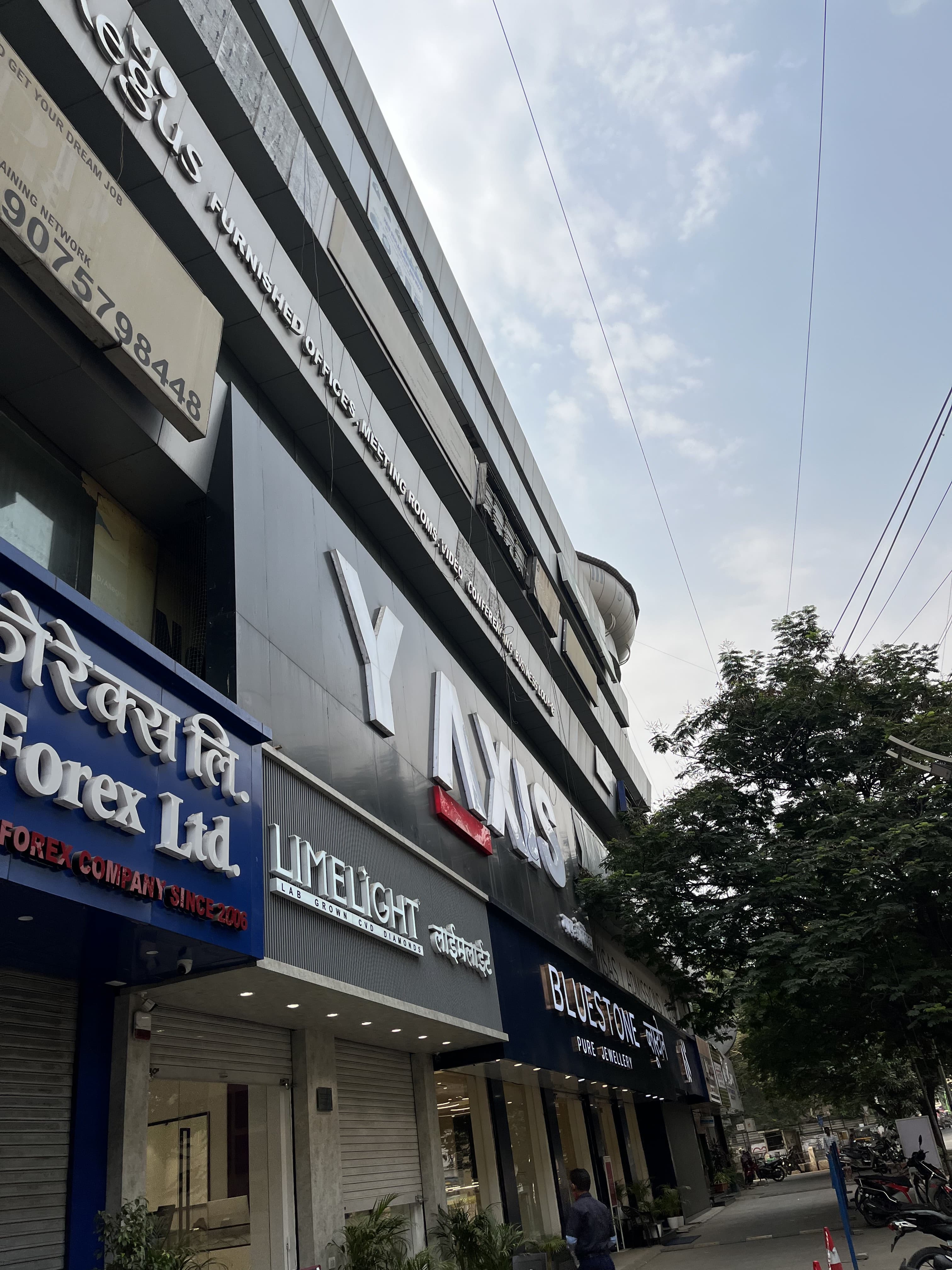 Y-Axis Y-Axis Gallery photo 2