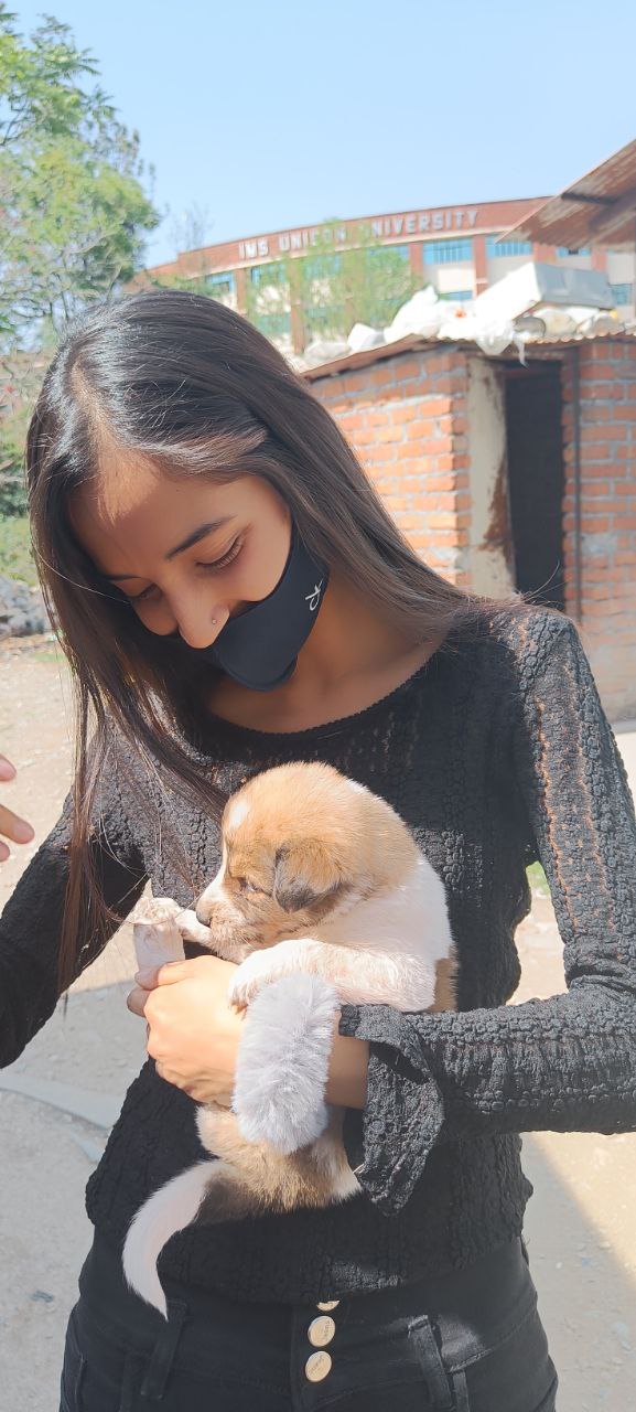 Arti