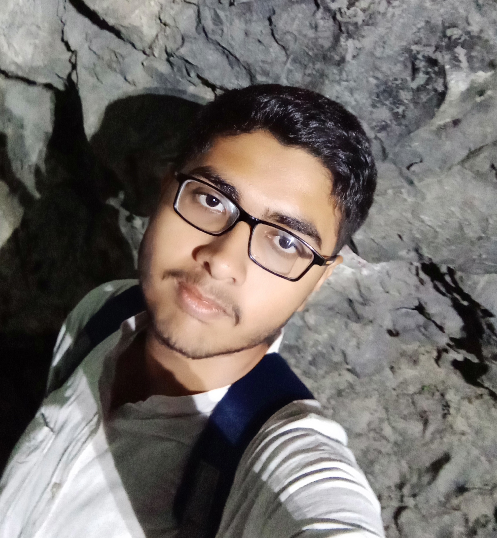 Navneet Singh Chauhan
