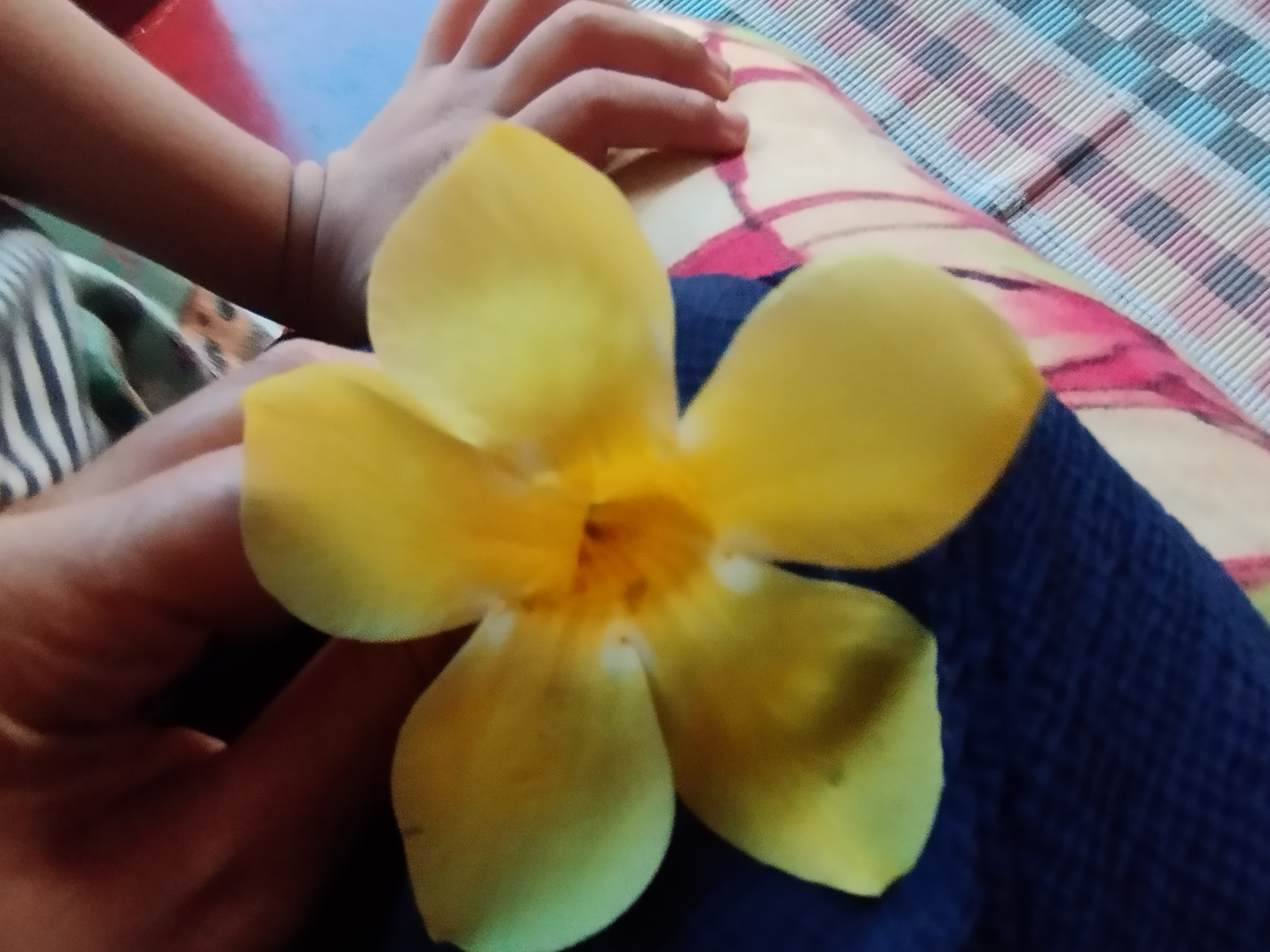 FATHIMA RAFIYATH P
