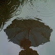 Sanyam