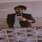Md Yazdan Rizwan