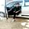 Arpit singh
