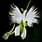 Jay Belkhode