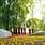Vineeth