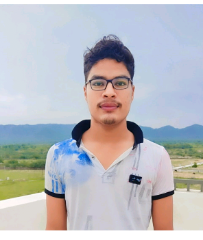 Narendra choudhary