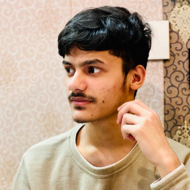 Ansh Gusain