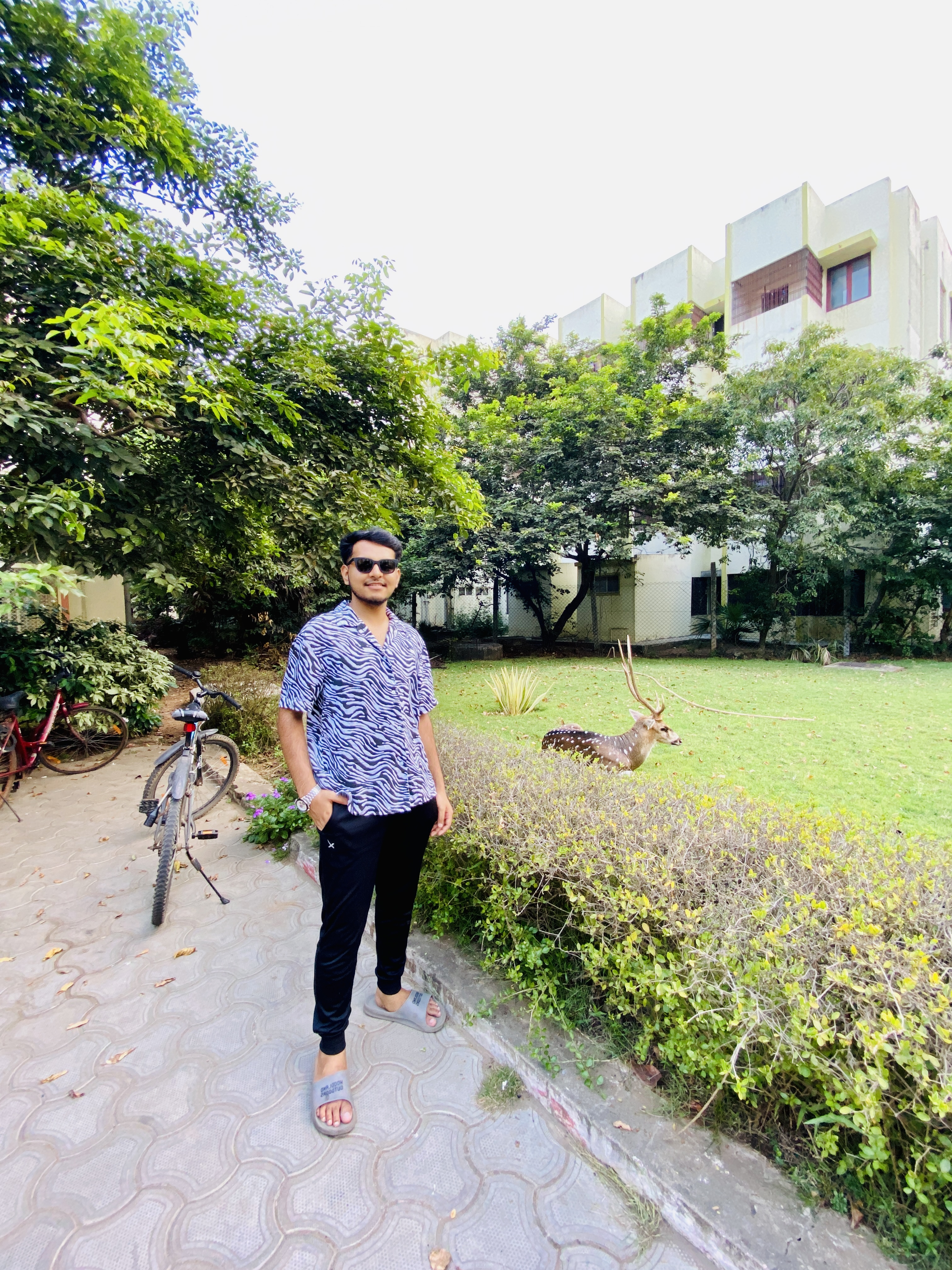 MD Ayan Arshad