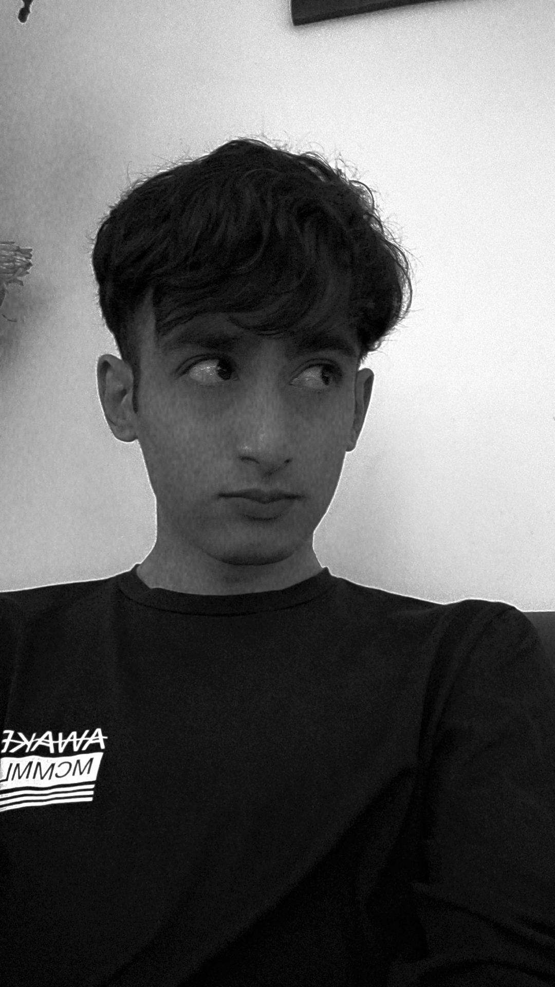 Syed ibne hassan