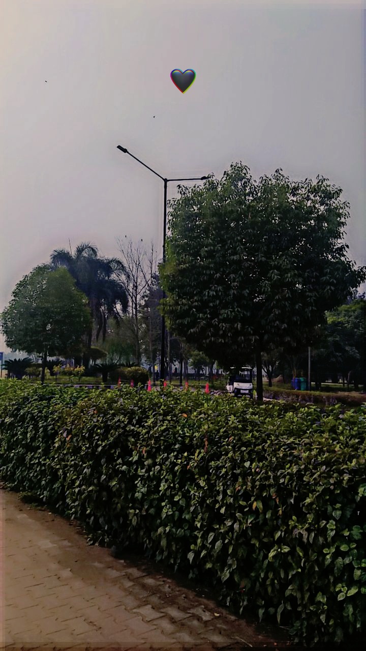 Kumar Ankesh