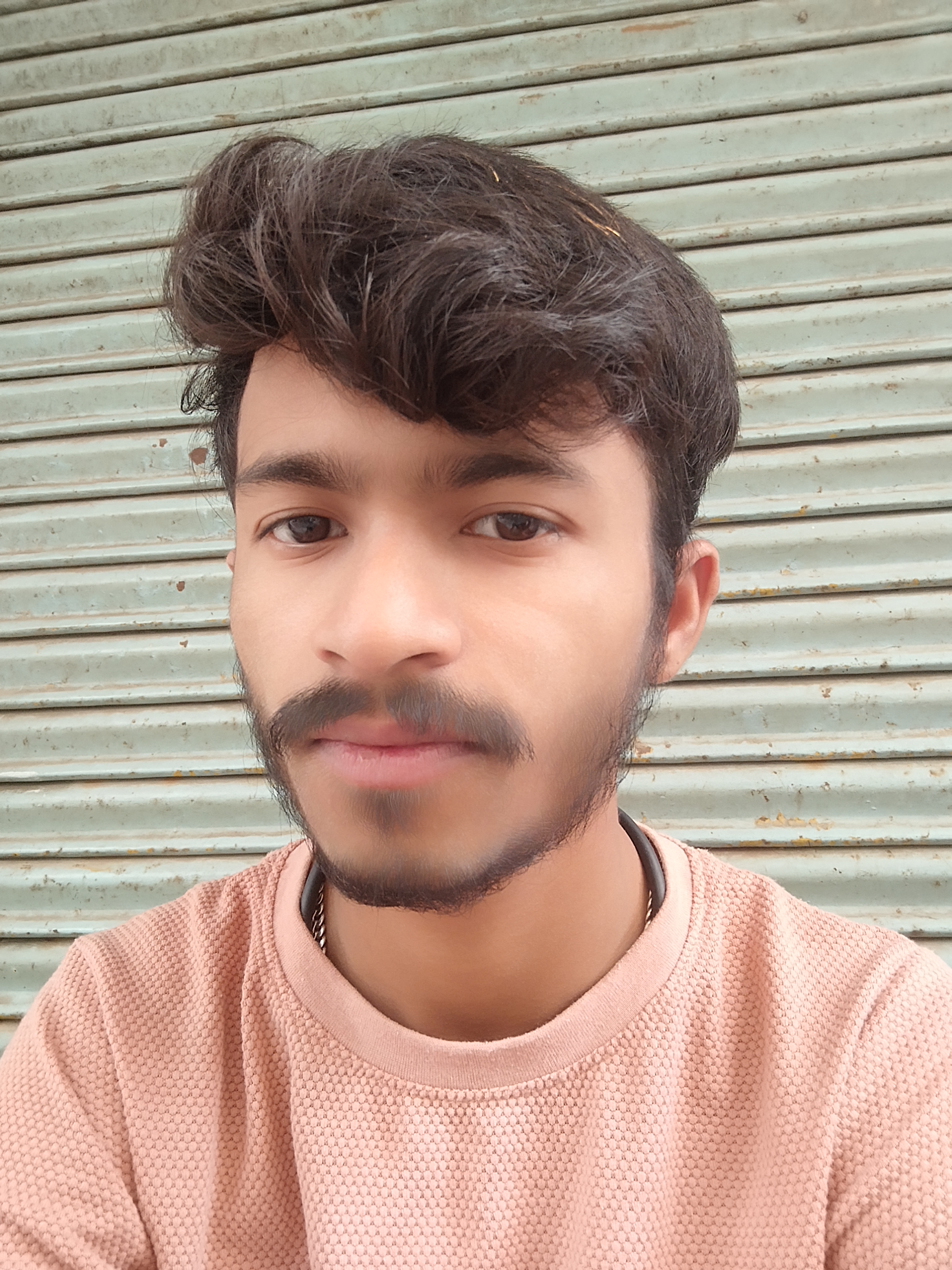 Anush petkar