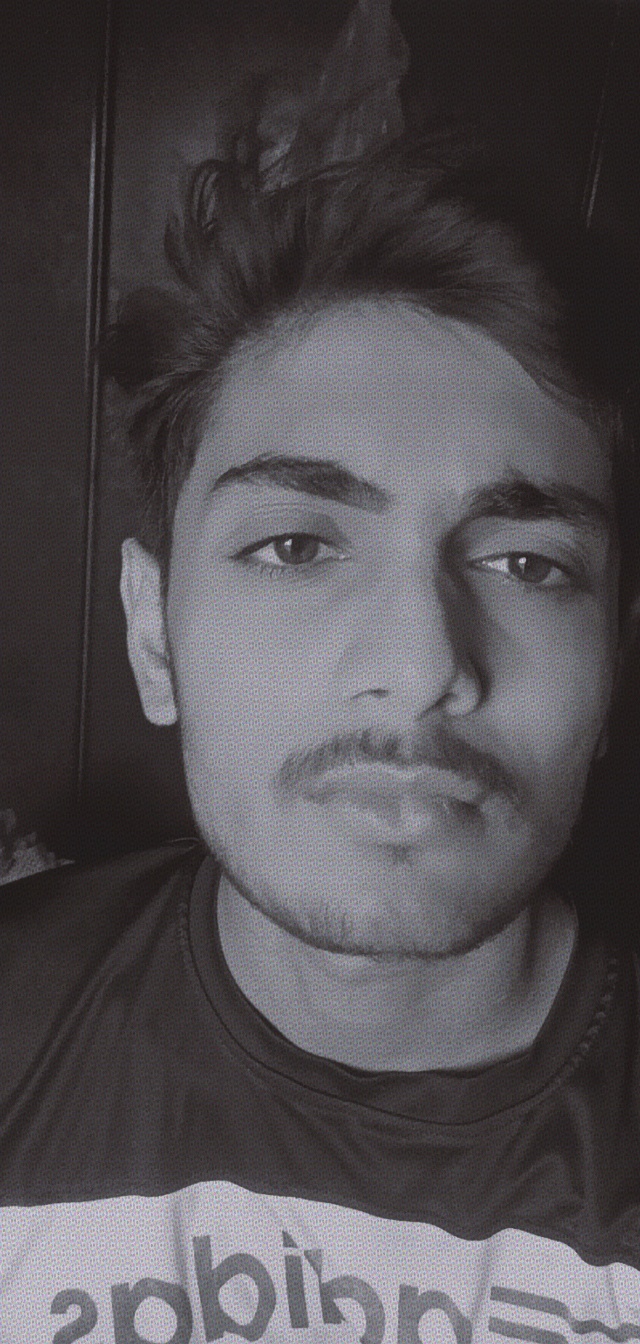 safin sheikh
