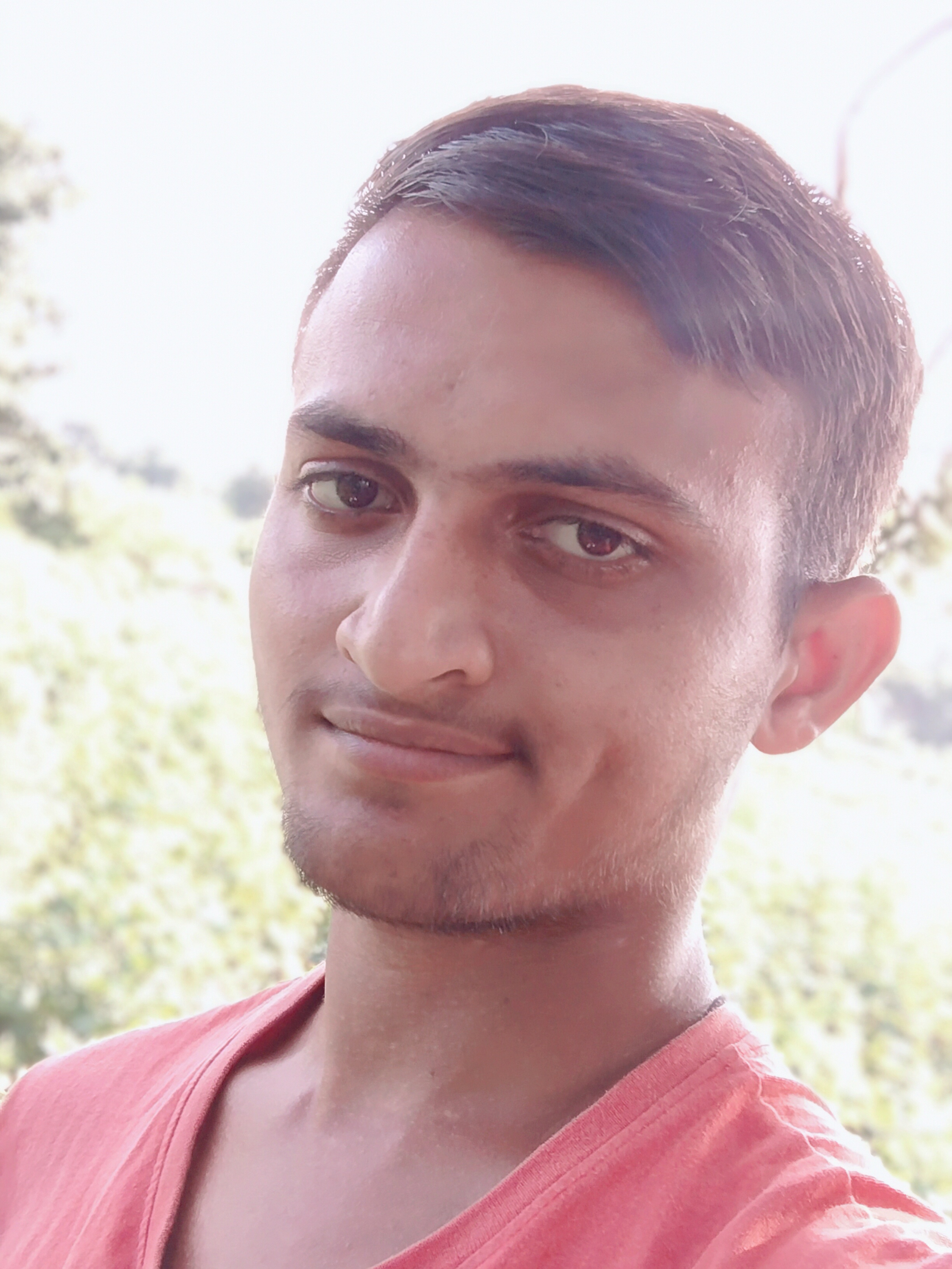 Anil