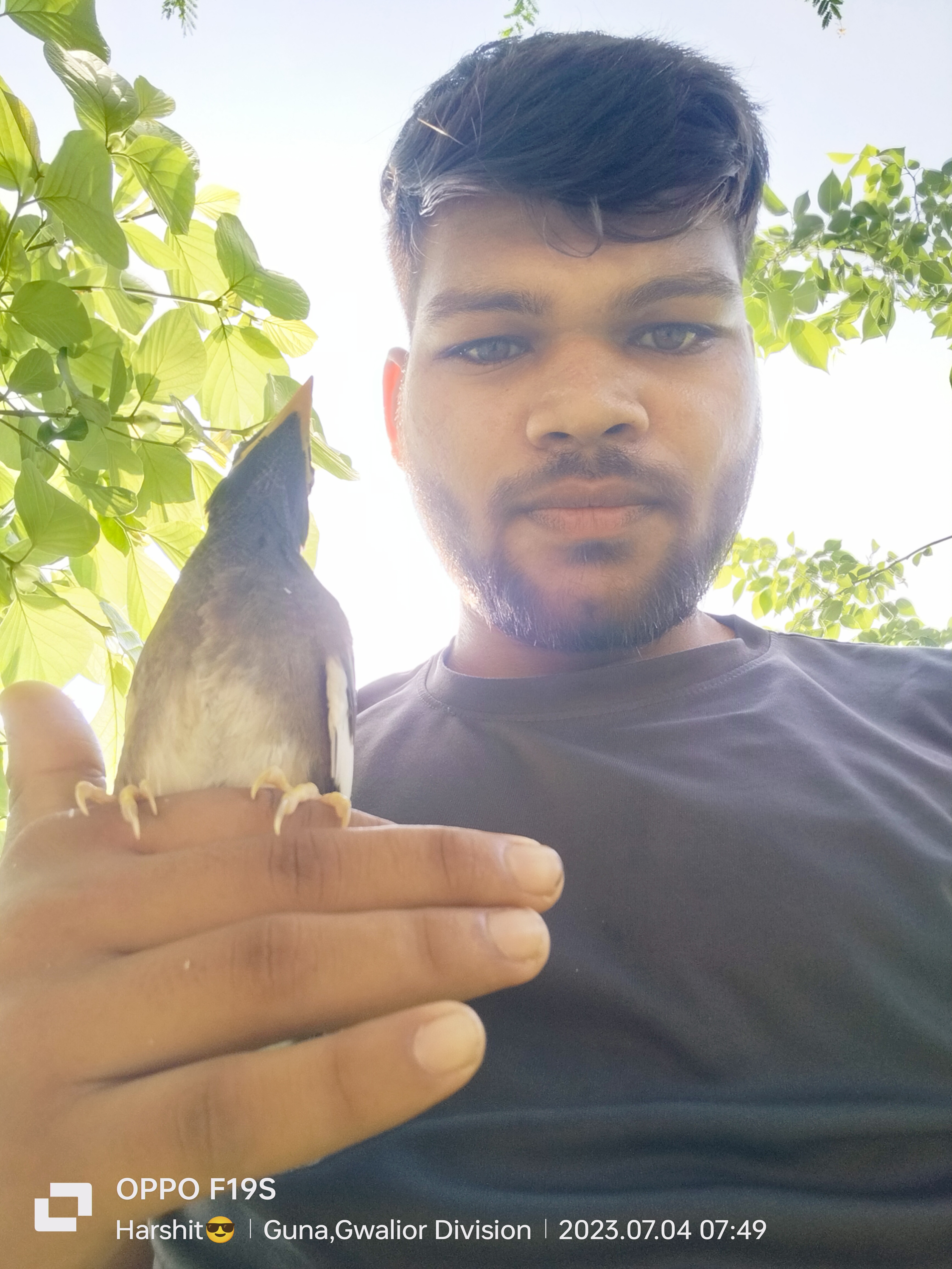 Harsh patwa
