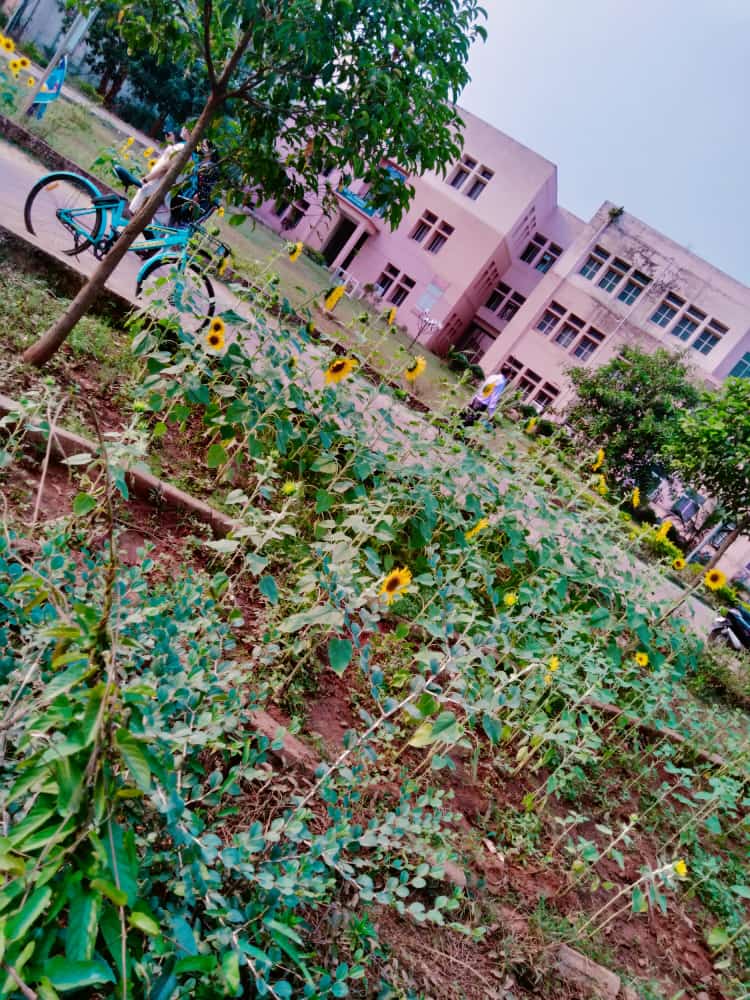 Chinmayee Sahoo