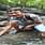 Kumar Rishav