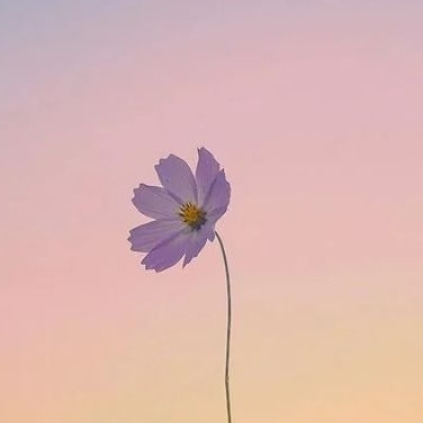 Najiya shajahan