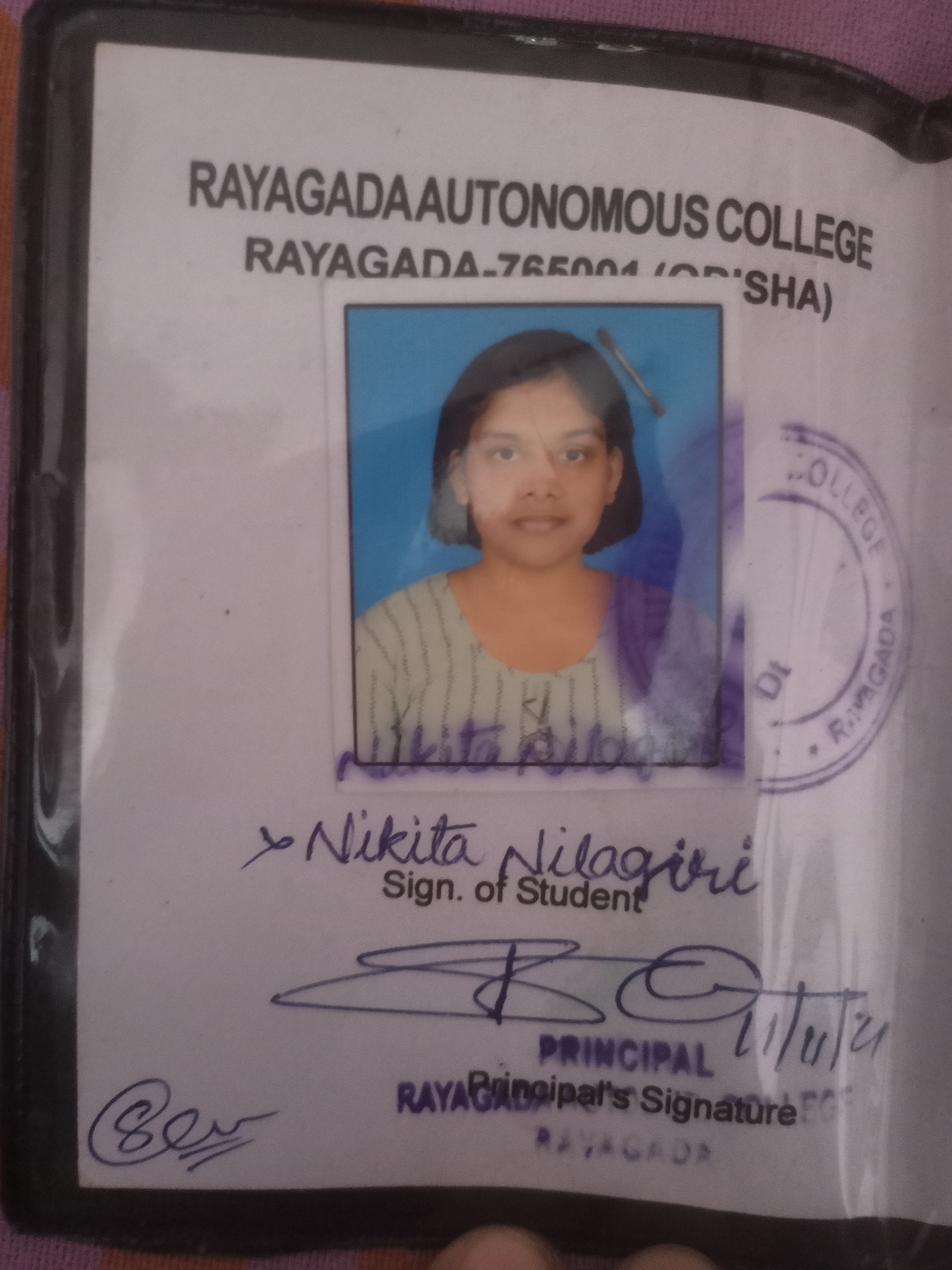 Nikita Nilagiri