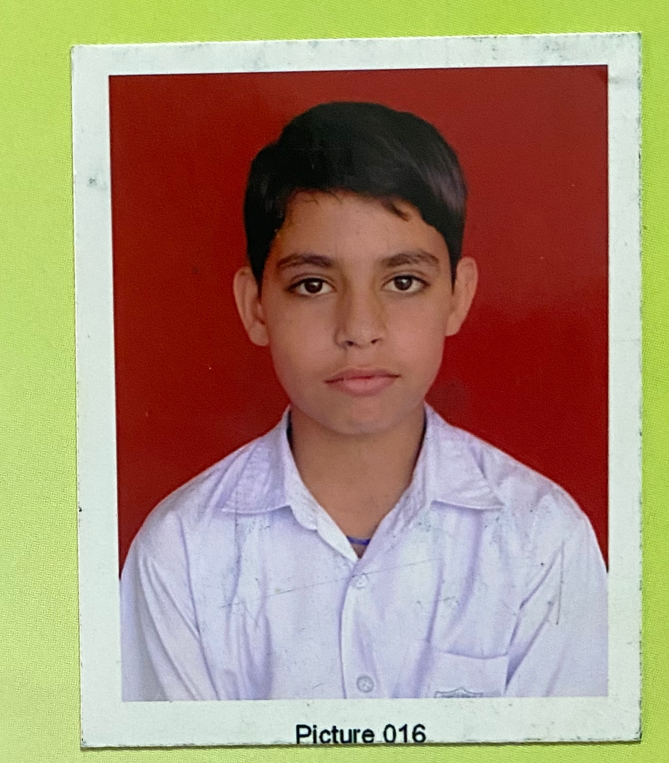 Pravesh dabas