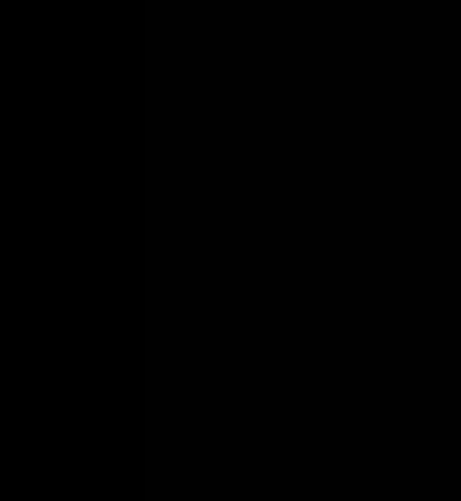 Nikhil Mehra