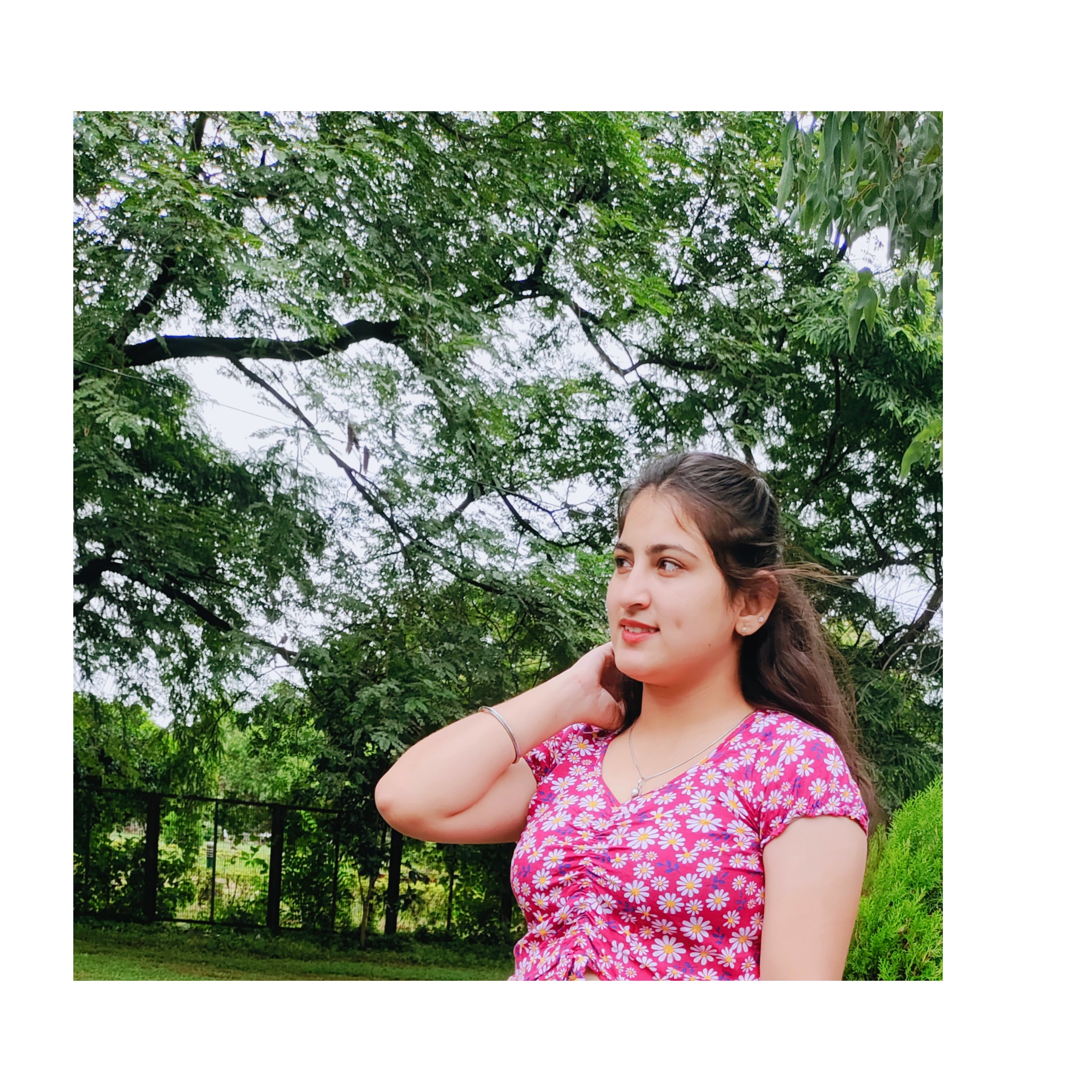 Mehak