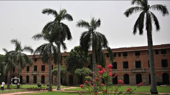 Sweety