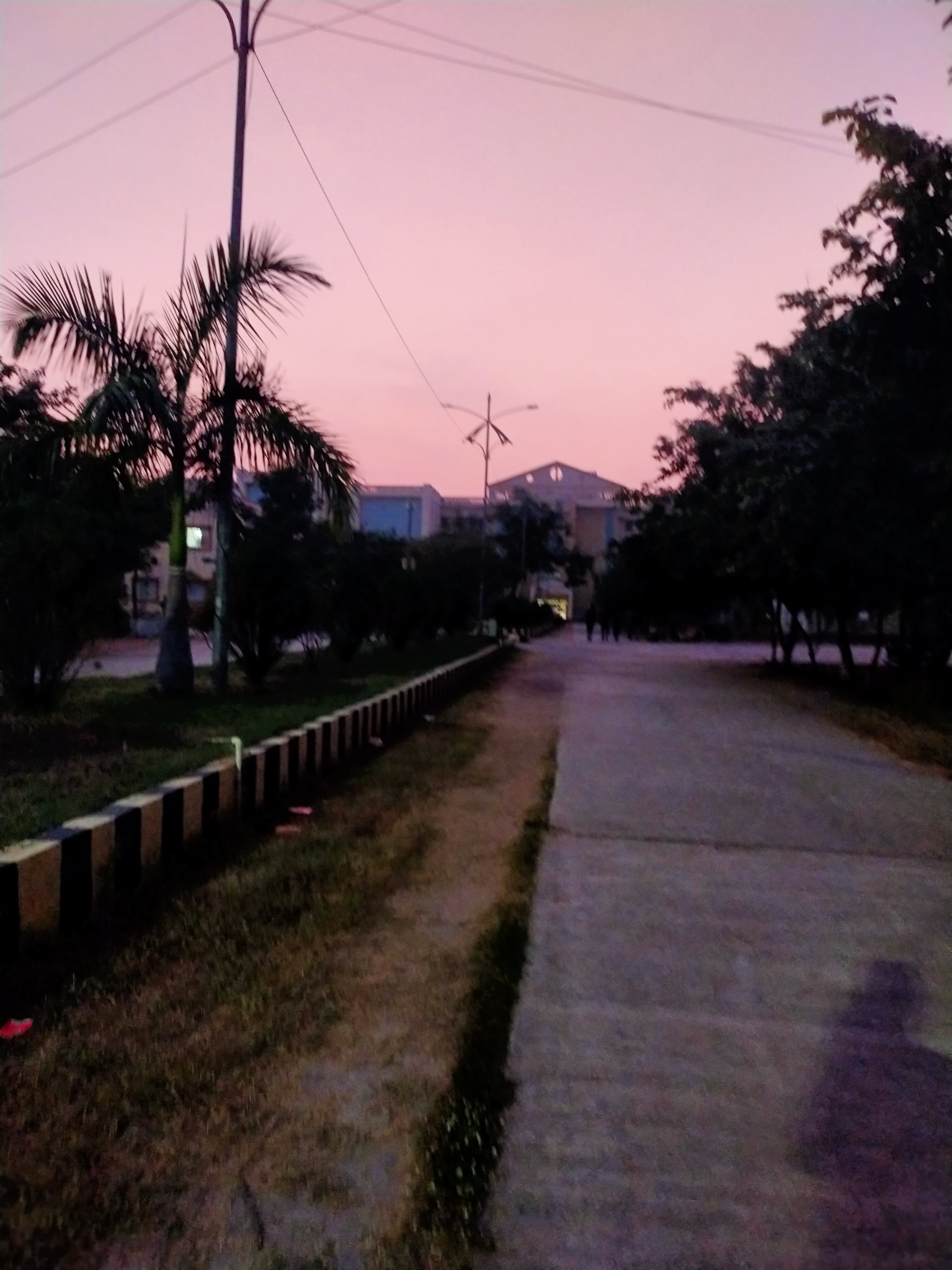 Pavan Kalyan
