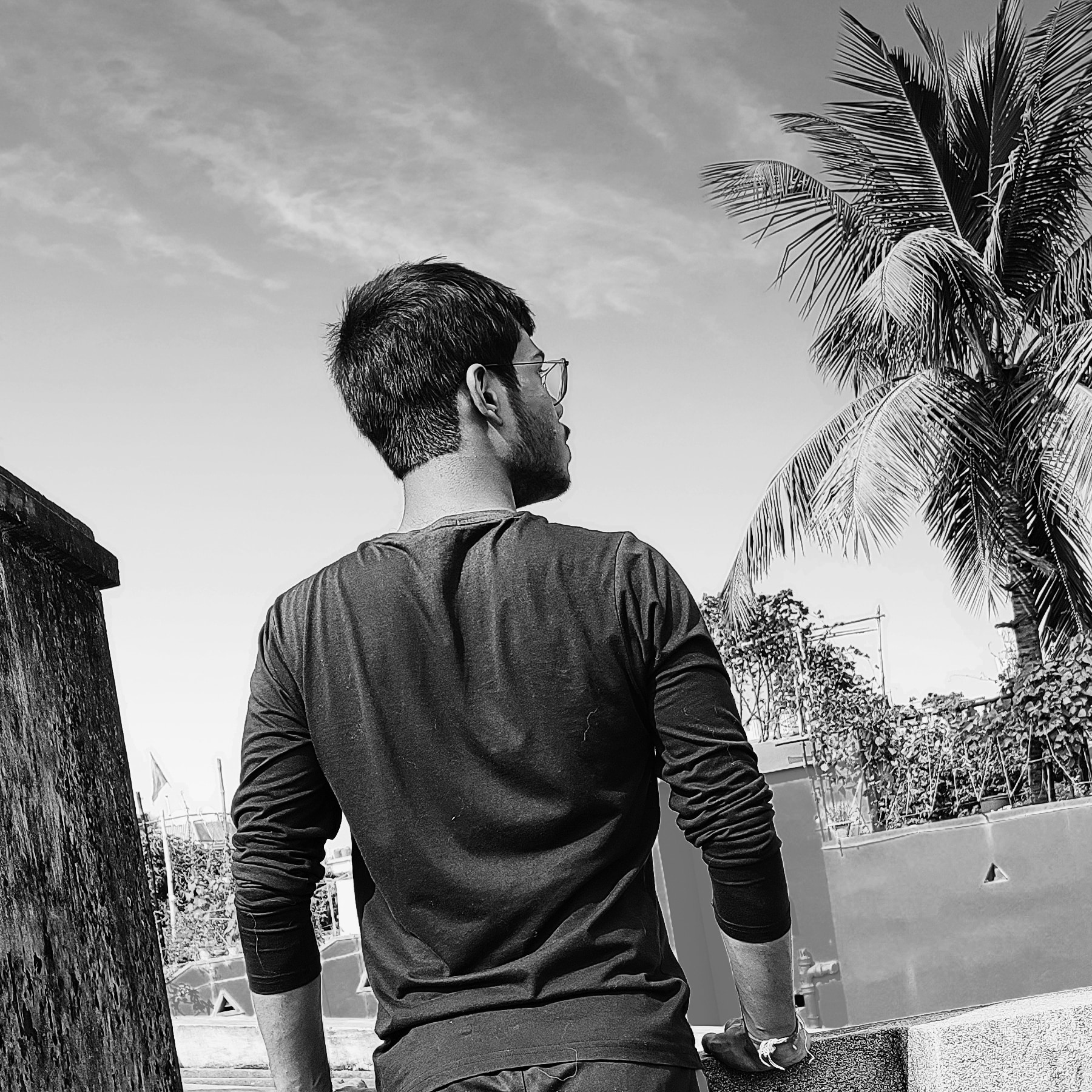 Shubro Majumdar