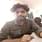 Shaik Abdul musawwir